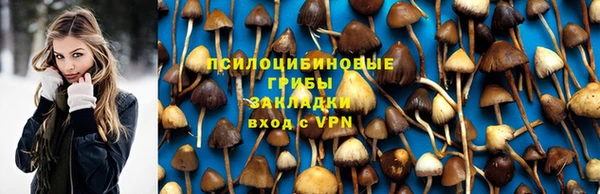 a pvp Медвежьегорск
