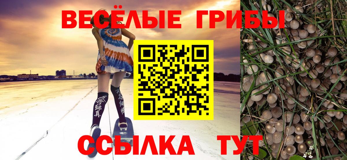 Галлюциногенные грибы ЛСД Фурманов