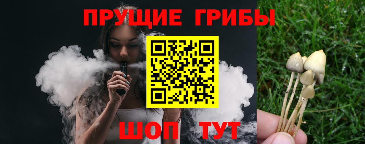 Фурманов  Галлюциногенные грибы GOLDEN TEACHER  даркнет сайт  Вход с VPN  Галлюциногенные грибы Cubensis 