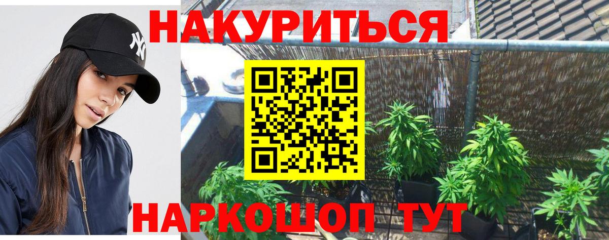 Бошки Шишки VHQ Фурманов